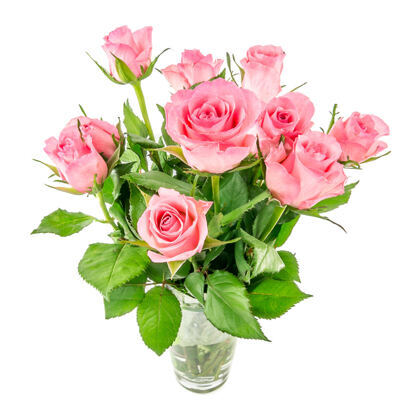 Pinke Rosen